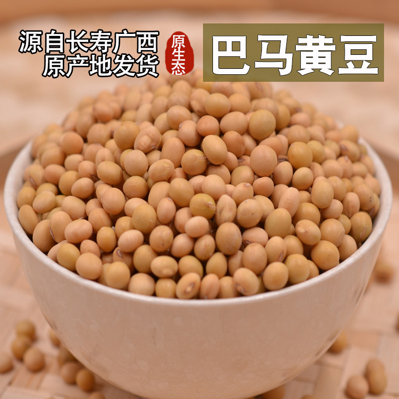 黄豆广西巴马黄豆 农家自种笨黄豆 非转基因本地黄豆浆新货400g