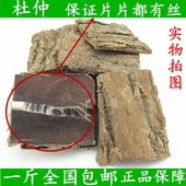 杜仲中药材优质野生正品 包邮 杜仲皮炒杜仲可泡茶泡酒散装 500克