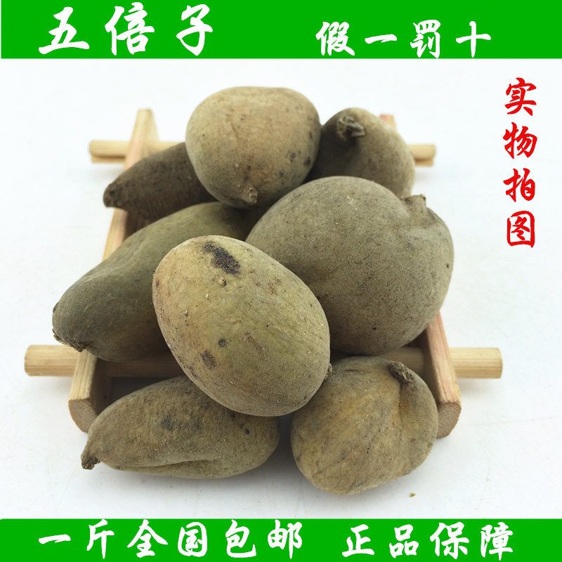 五倍子 中药材精选木五倍子五倍子粉百虫仓植物染发散装500克包邮