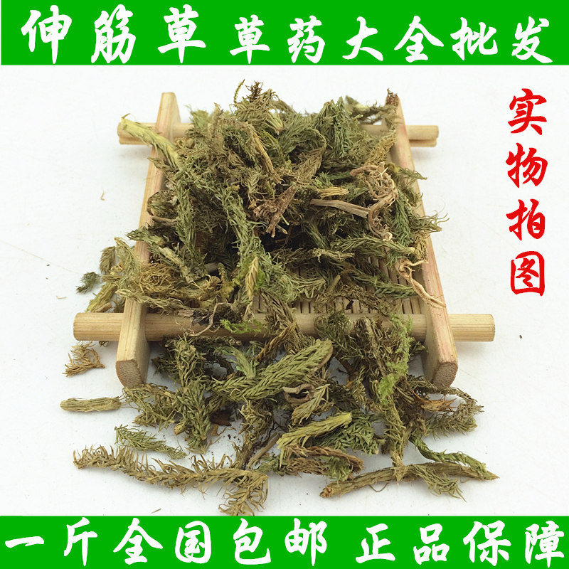 伸筋草 中药材优质野生正品优质泡茶泡酒泡脚散装500克包邮