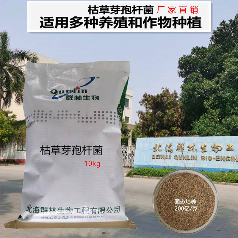 群林生物水产枯草芽孢杆菌养殖种植禽畜饲料添加剂微生物200亿1克