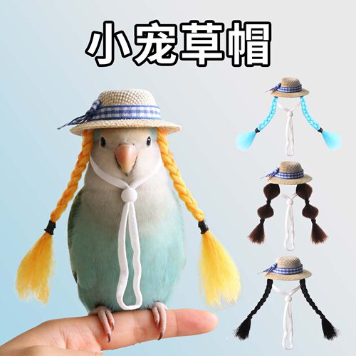 小鸟帽子鹦鹉迷你头饰金丝熊头套