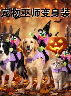 宠物衣服猫咪巫师变身装新款
