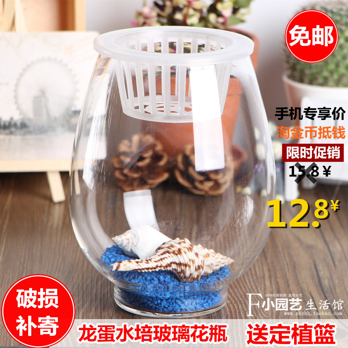 恐龙蛋创意透明玻璃花瓶 水培绿萝观音竹植物桌面大号玻璃瓶 包邮