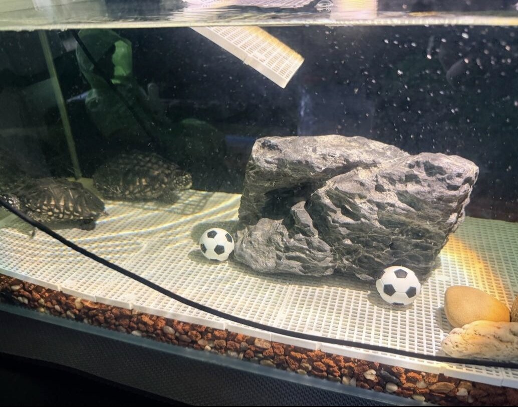 给乌龟的玩具小足球草龟陆龟巴西龟金鱼兰寿沉水球鱼缸造景摆件