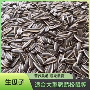 中大型鹦鹉饲料零食鸟食大葵花子优质生瓜子松鼠仓鼠零食1斤/5斤