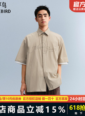 太平鸟男装 休闲衬衫时尚刺绣条纹衬衫B2CJF222J