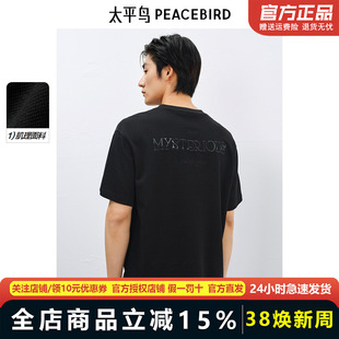 【肌理感】太平鸟男装重磅刺绣短袖T恤夏新款美式上衣青年体恤潮