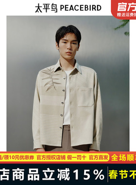 【商场同款】太平鸟男装 2025年春季新款衬衣长袖衬衫男B1CHF1417