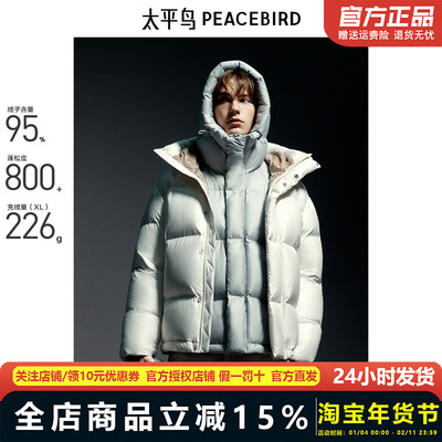 【商场同款】太平鸟男装 2024年冬季新款潮流连帽羽绒服B1ACE4446