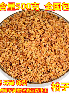 柏子仁500克包邮野生新货去壳柏子仁 柏子仁干柏子仁粉优质中药材