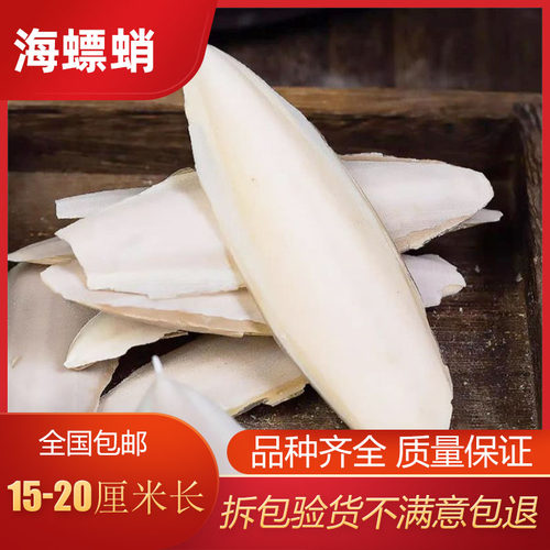 新货 海螵蛸中药材 乌贼骨 大块海螵蛸墨鱼骨 鹦鹉磨牙完整海螵蛸