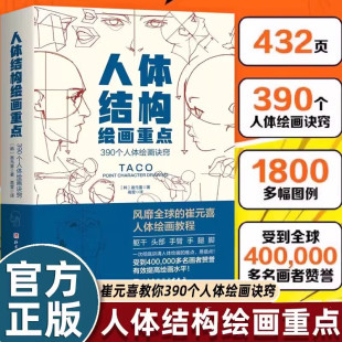 人体结构绘画重点 人体结构 人体绘画 TACO人体 人体结构绘画教程 绘画技巧教程 390个躯干头部手臂手腿脚诀窍人体绘画指南 参考
