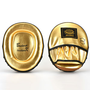 【拳击手靶弧形图片】拳击手靶弧形图片大全