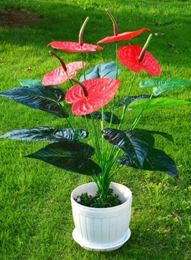 仿真绿色植物花卉小盆栽摆件室内装饰塑料假花绿萝万年青绿植盆景