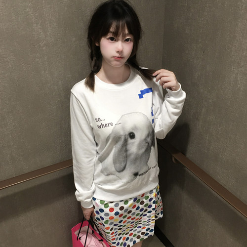 [谁偷了我的胡萝卜]原创兔子印花卫衣女早春宽松设计感圆领上衣