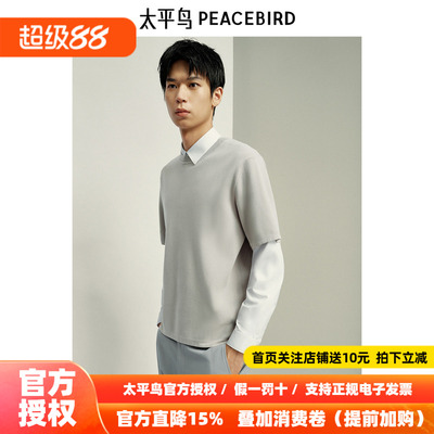 【商场同款】太平鸟男装T恤25春夏新款重磅短袖上衣潮 B1EEF1410