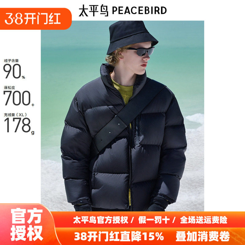 【商场同款】太平鸟男装 2025年冬季黑色鹅绒羽绒服B1ACE4447