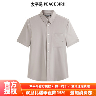 潮 太平鸟男装 百搭肌理衬衫 新款 B1CCE2418 衬衫