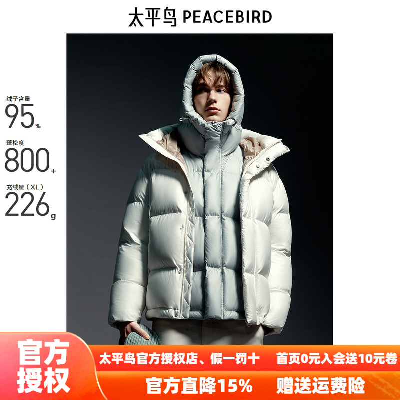 【商场同款】太平鸟男装 2025年冬季新款潮流连帽羽绒服B1ACE4446