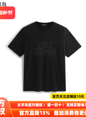 【商场同款】太平鸟男装T恤26夏季新款重磅刺绣短袖潮 B1CNF2422