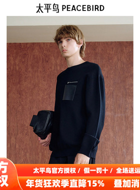 【商场同款】太平鸟男装 黑色毛衣2025年冬季新款针织衫B1EBE4241