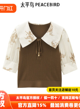 【商场同款】太平鸟女装年夏季新款相拼线套衫A1EEE3207