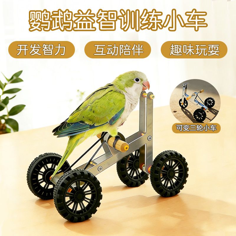 鹦鹉玩具训练自行车训鸟