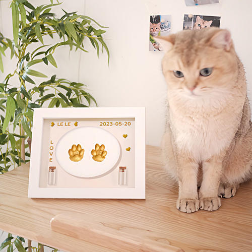 猫咪狗狗爪印纪念相框宠