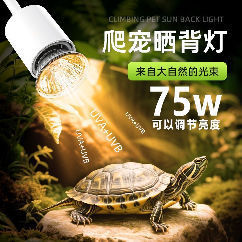 新款乌龟晒背灯爬宠取暖图片