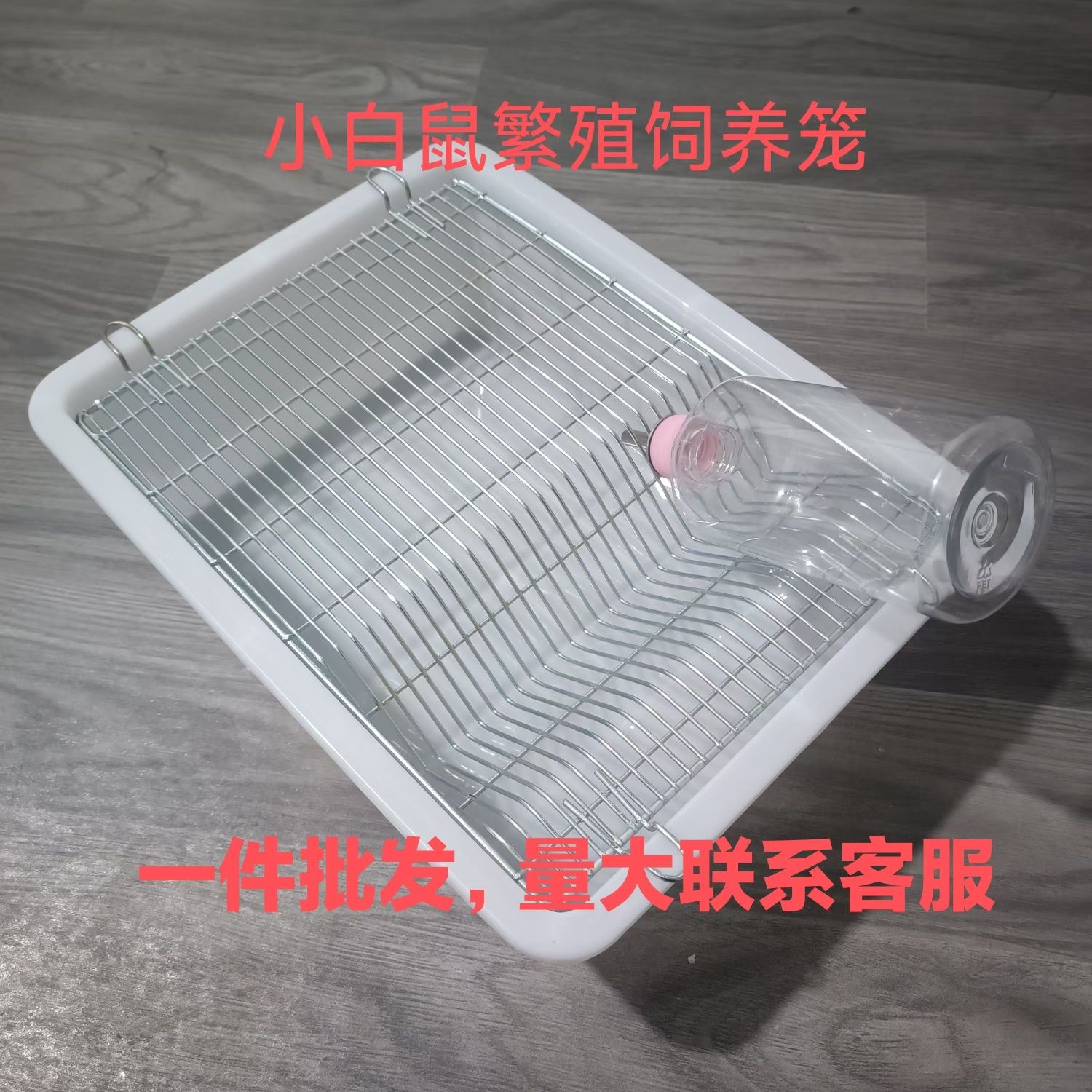 实验鼠笼小白鼠繁殖笼仓图片