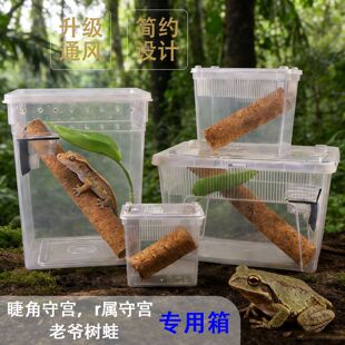 睫角守宫专用饲养箱树盒老爷树蛙爬宠缸生态造景蜥蜴宠物蛇养殖盒