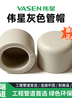 伟星灰色PPR管热熔4分6分1寸1.2寸1.5寸2寸堵帽管堵水管接头配件