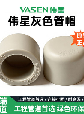 伟星灰色PPR热熔堵头水管配件