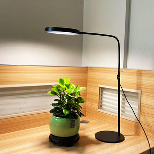 全光谱植物生长灯落地桌面款植物补光灯定时功能多肉防徒绿植盆栽