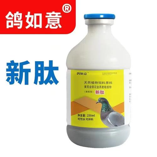 新肽鸽药鸽如意赛信鸽甩拉吐鸽水绿便信鸽用品公棚常备厂家发货