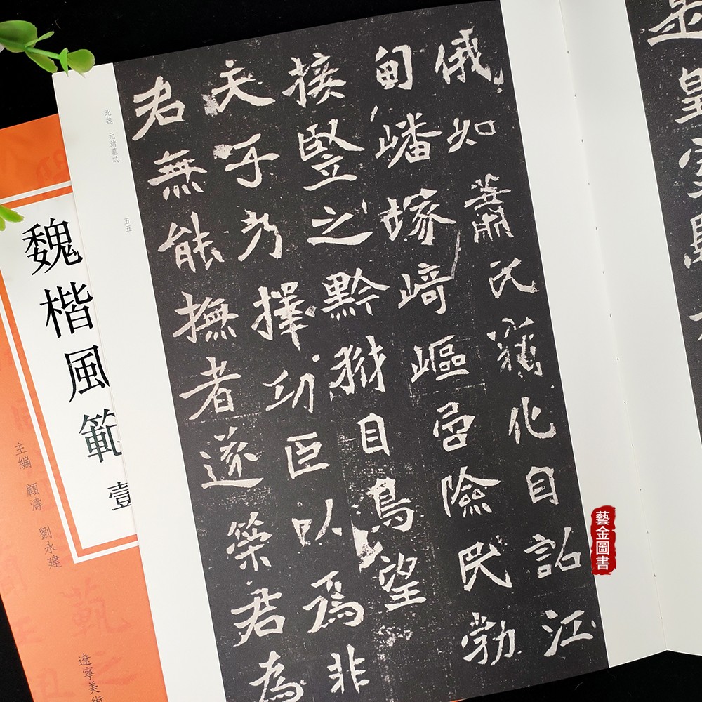魏碑风范 壹 北魏墓志集珍 北魏楷书字帖 经典线装本 集元桢元羽寇臻元绪元勰宁陵公主元珍墓志 辽宁美术出版社