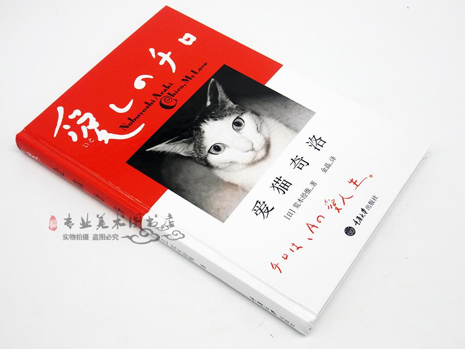 正版现货 爱猫奇洛(日) 荒木经惟著金晶译 猫现代摄影集散文集流浪猫外国小说摄影作品 重庆大学出版社