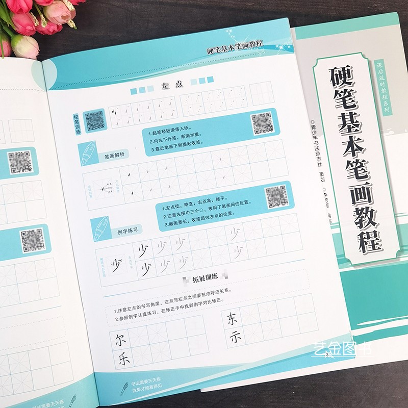 硬笔基本笔画教程 硬笔楷书入门视频教程课后延时教程系列李芳芳编写