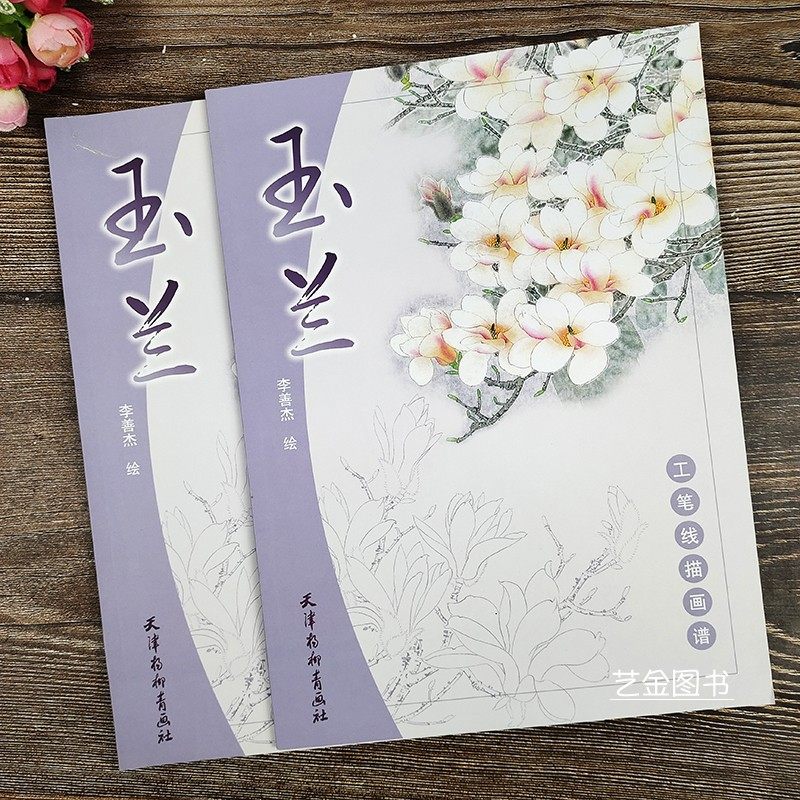 工笔线描画谱玉兰  李善杰绘工笔线描上色步骤详解玉兰线描范画赏析