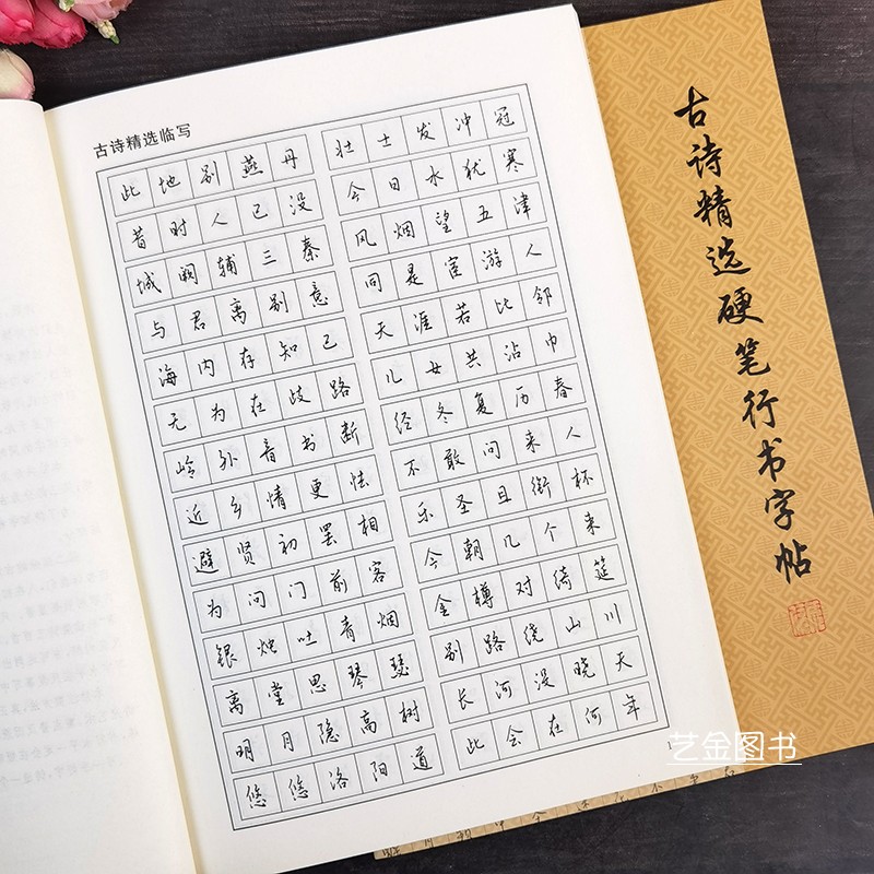 古诗精选硬笔行书字帖 钱建忠写硬笔行书字帖成人学生硬笔临摹描写字帖硬笔对照直临书法硬笔描红字帖上海大学出版社