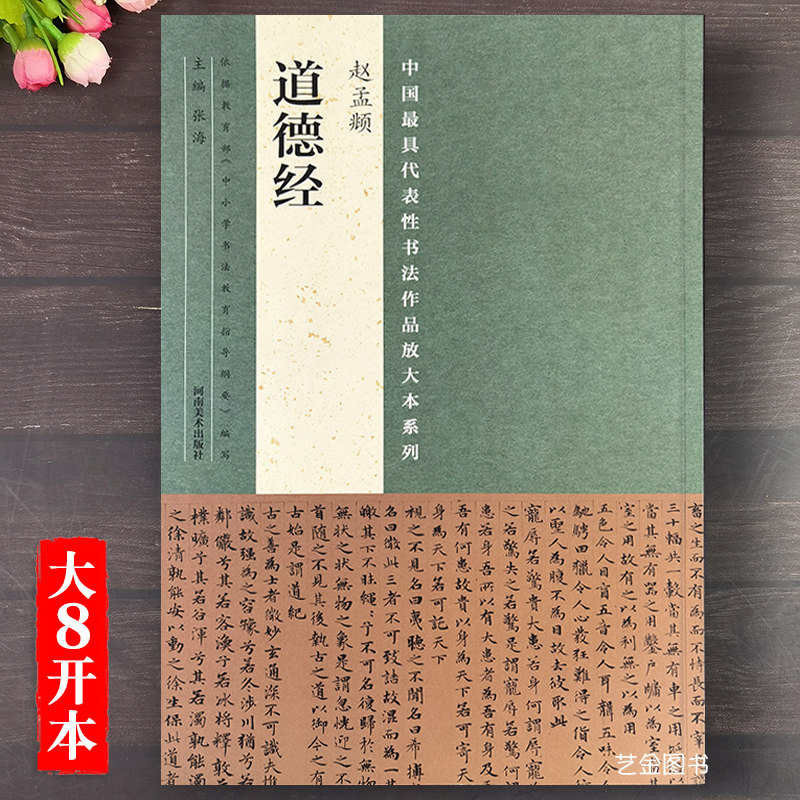 最具代表性书法作品放大本张海编简体释文成人学生毛笔软笔临摹字帖