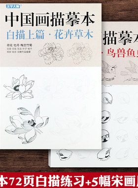 共2本中国画描摹本工笔画上下 花卉草木禽鸟动物工笔画白描底稿勾线练习画稿中国画初学入门教程新手画法勾线描线宋代花鸟画临摹