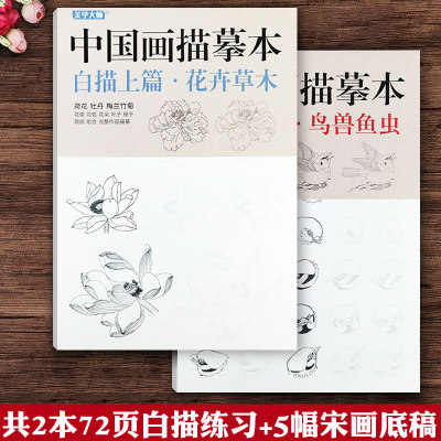 共2本中国画描摹本工笔画上下 花卉草木禽鸟动物工笔画白描底稿勾线练习画稿中国画初学入门教程新手画法勾线描线宋代花鸟画临摹