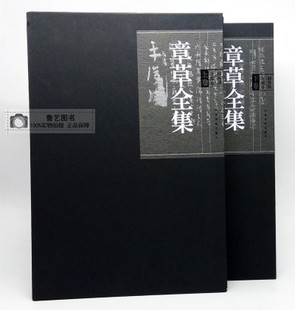 现货 章草全集(上下)全二册 钟海涛主编 竹简章草书墨迹碑帖拓印字帖全集毛笔书法典籍收藏 河南美术出版社