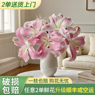 【梦境花卉 星光】香水百合 -任意两单发顺丰冷链/邮政空运