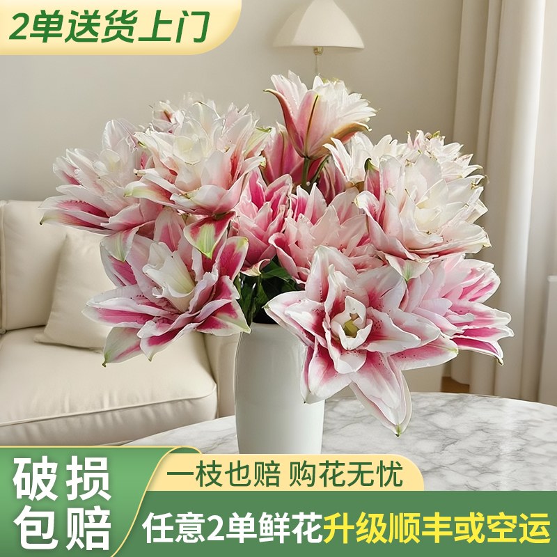 【梦境 火星之恋】重瓣香水百合 -任意两单发顺丰冷链或德邦快运