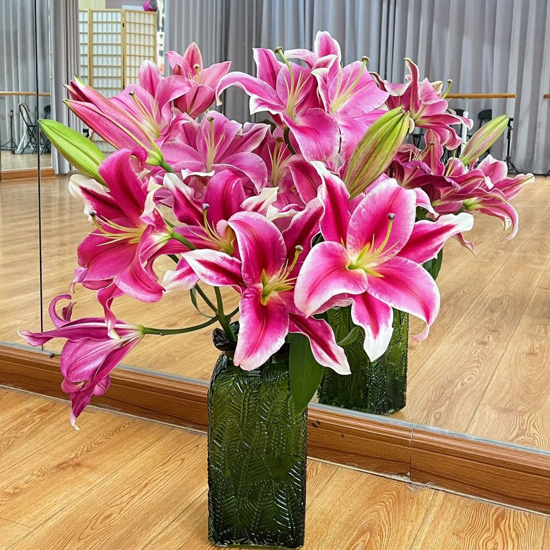 【老六直播专属】红福香水百合云南鲜切花云南直发