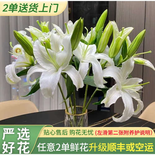 【梦境花卉 西伯利亚】百合任意两单升级快递发货后不支持退款