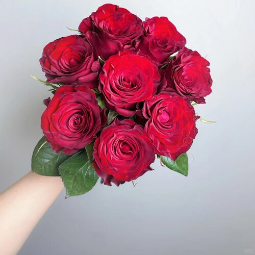 【元宝优选 单玫-红玫瑰】 -任意两单发顺丰冷链或德邦快运